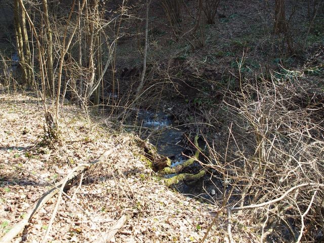potok topličina, početak puta